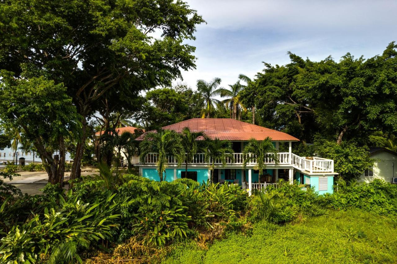 The Sea Glass Inn Placencia Екстериор снимка